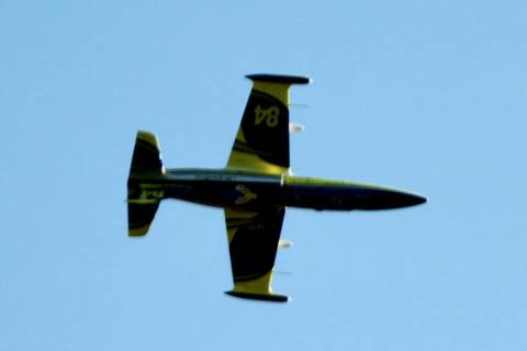 flugtag2023_19.jpeg
